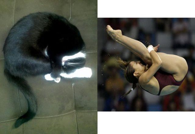 morning picdump 55 pics 2.html - 55 HD Photos | Premium Gallery 2013