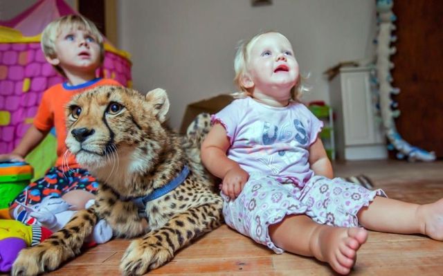 morning picdump 53 pics 1.html - 53 HD Photos | Premium Gallery 2013