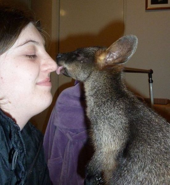 morning picdump 51 pics 22.html - 51 HD Photos | Premium Gallery 2013