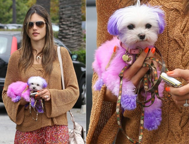 Some Bizarre Things Women Have Been Caught Doing