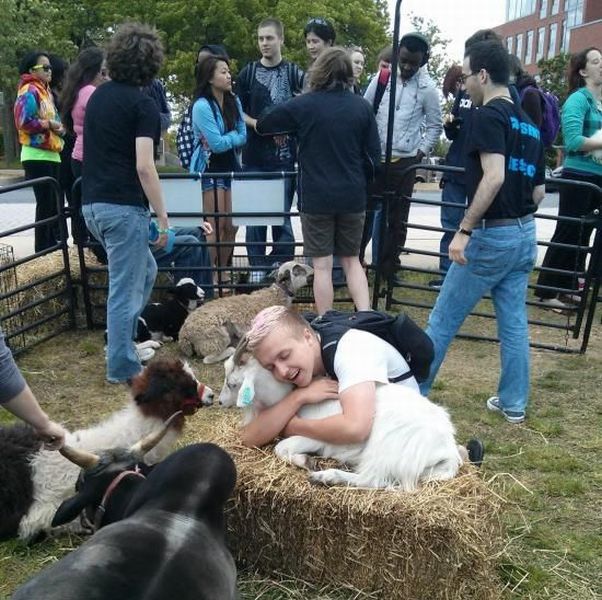 Morning Picdump