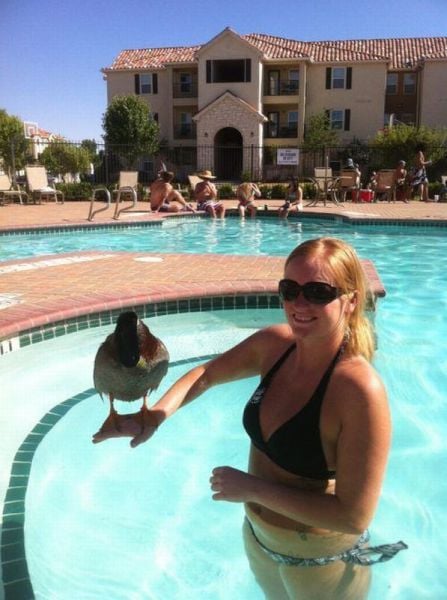 Morning Picdump