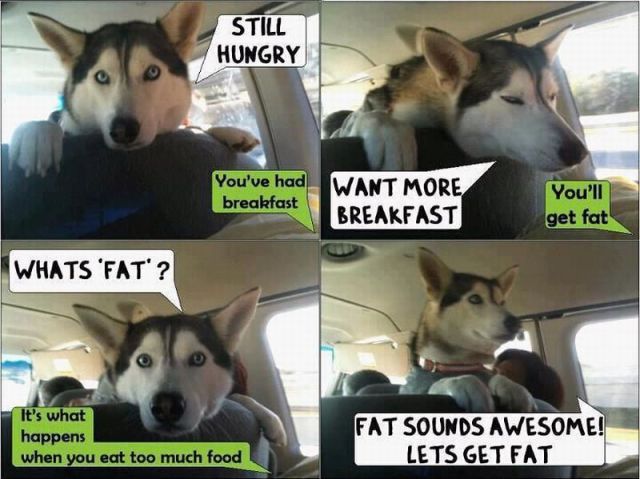 morning picdump 54 pics 9.html - 54 HD Photos | Premium Gallery 2013