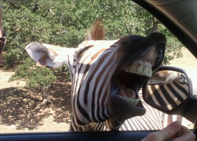 Morning Picdump