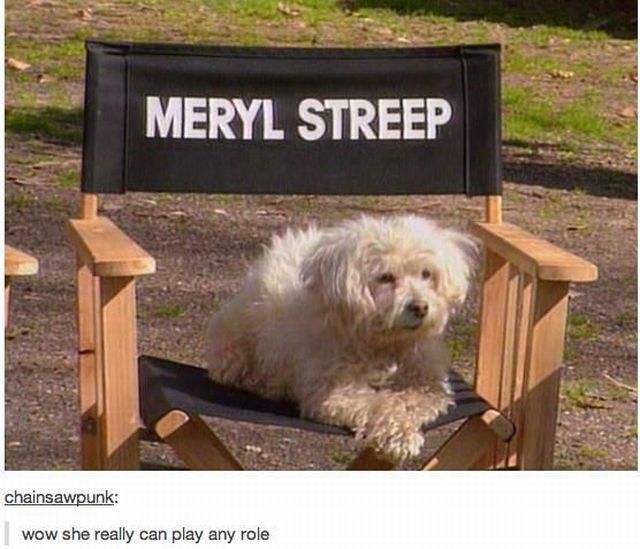 morning picdump 51 pics 22.html - 51 HD Photos | Premium Gallery 2013