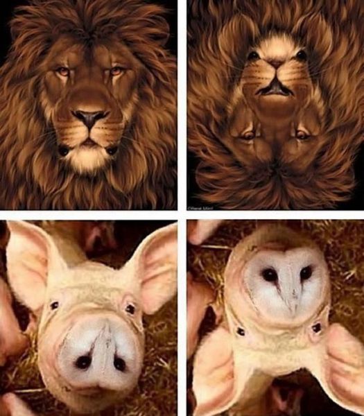 morning picdump 51 pics 22.html - 51 HD Photos | Premium Gallery 2013