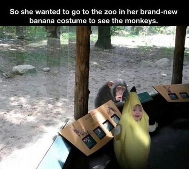 morning picdump 51 pics 22.html - 51 HD Photos | Premium Gallery 2013
