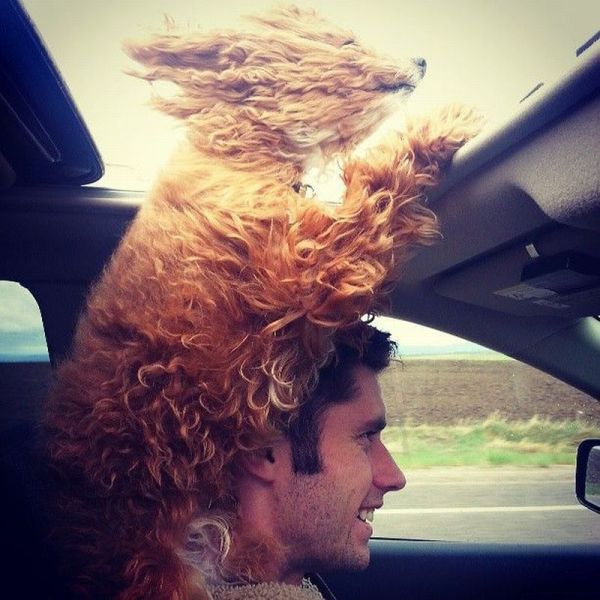 Morning Picdump