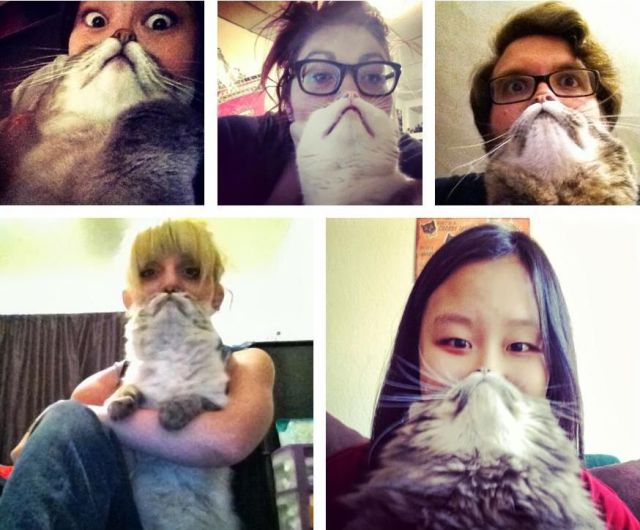 Morning Picdump