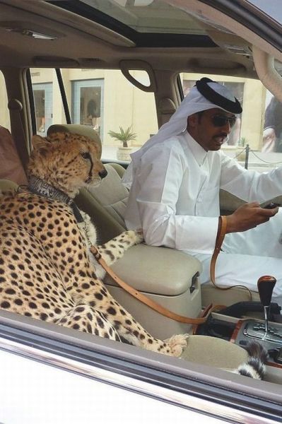 morning picdump 54 pics 10.html - 54 HD Photos | Premium Gallery 2013