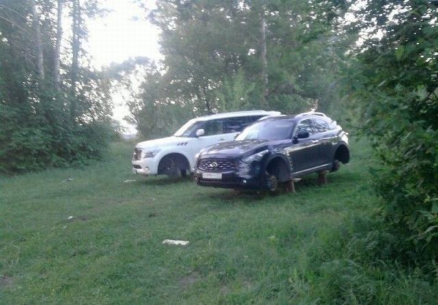 morning picdump 54 pics 10.html - 54 HD Photos | Premium Gallery 2013