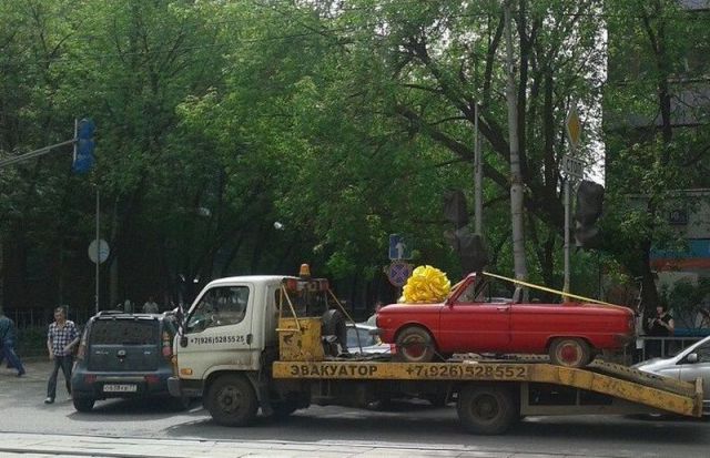 morning picdump 54 pics 10.html - 54 HD Photos | Premium Gallery 2013