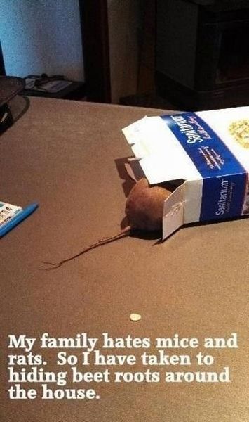 morning picdump 54 pics 10.html - 54 HD Photos | Premium Gallery 2013
