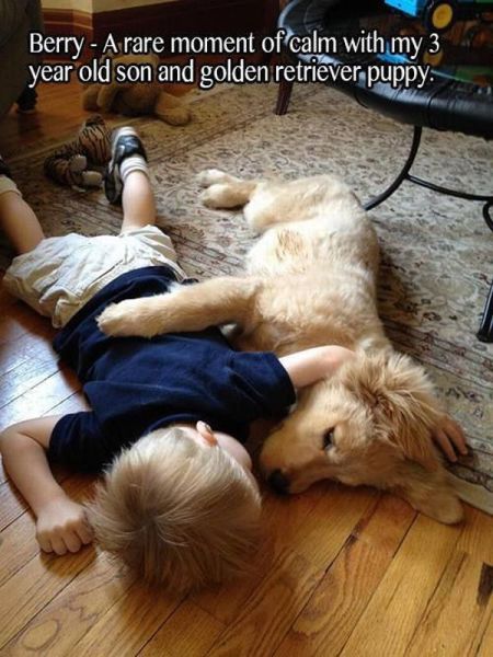Morning Picdump