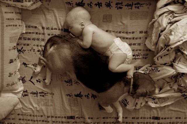 morning picdump 54 pics 10.html - 54 HD Photos | Premium Gallery 2013