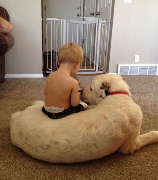 morning picdump 54 pics 10.html - 54 HD Photos | Premium Gallery 2013