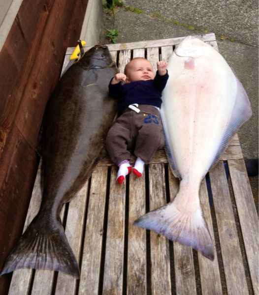 morning picdump 54 pics 10.html - 54 HD Photos | Premium Gallery 2013