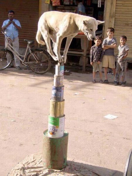 Morning Picdump