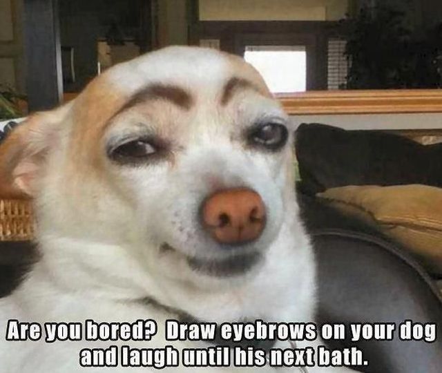 daily picdump weekend edition 103 pics 10.html - 103 HD Photos | Premium Gallery 2013