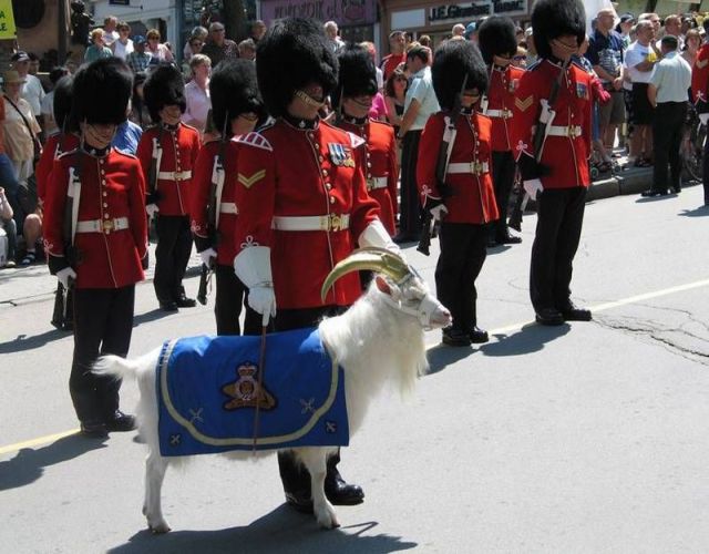 daily picdump weekend edition 103 pics 10.html - 103 HD Photos | Premium Gallery 2013