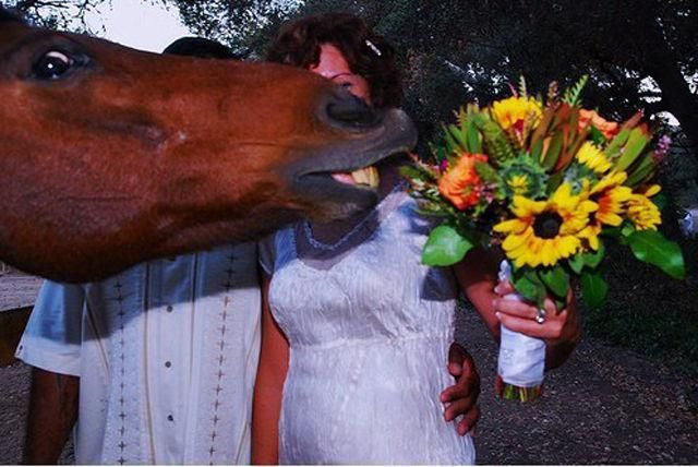 daily picdump weekend edition 103 pics 10.html - 103 HD Photos | Premium Gallery 2013