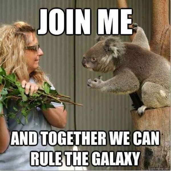 daily picdump weekend edition 103 pics 10.html - 103 HD Photos | Premium Gallery 2013