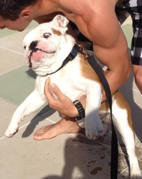 daily picdump weekend edition 103 pics 10.html - 103 HD Photos | Premium Gallery 2013
