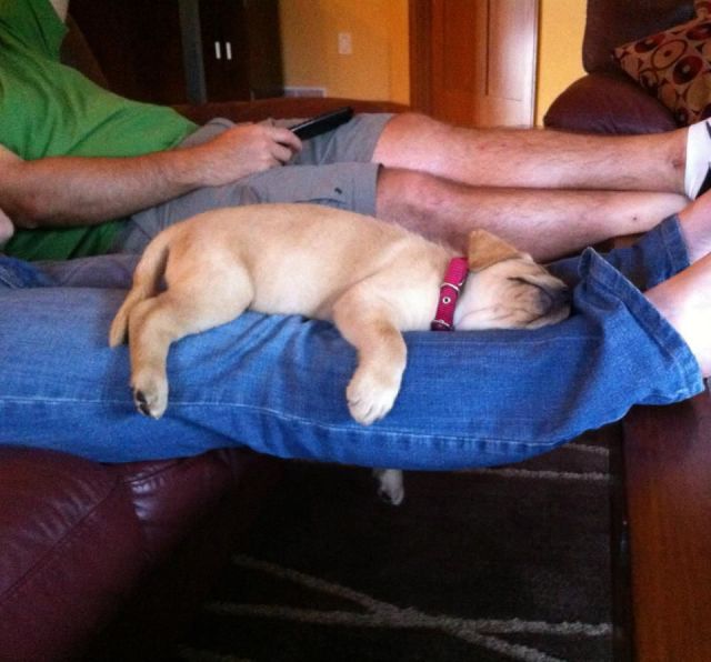daily picdump weekend edition 103 pics 10.html - 103 HD Photos | Premium Gallery 2013