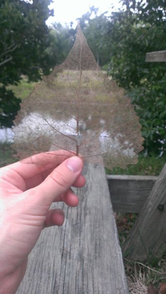 morning picdump 54 pics 26.html - 54 HD Photos | Premium Gallery 2013