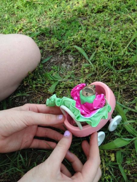 morning picdump 54 pics 26.html - 54 HD Photos | Premium Gallery 2013