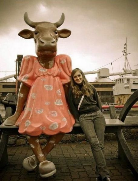 morning picdump 54 pics 26.html - 54 HD Photos | Premium Gallery 2013