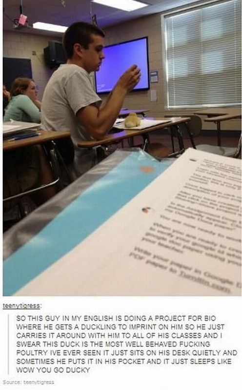 Morning Picdump