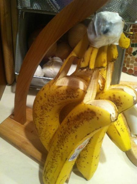 morning picdump 54 pics 16.html - 54 HD Photos | Premium Gallery 2013