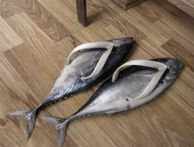 morning picdump 54 pics 16.html - 54 HD Photos | Premium Gallery 2013