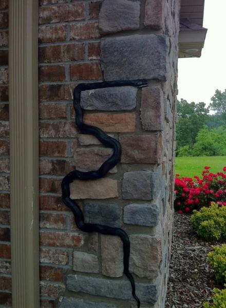 morning picdump 54 pics 9.html - 54 HD Photos | Premium Gallery 2013