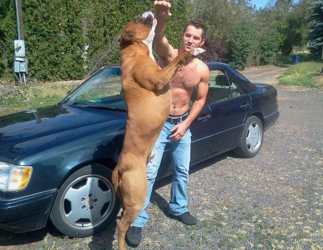 morning picdump 54 pics 9.html - 54 HD Photos | Premium Gallery 2013