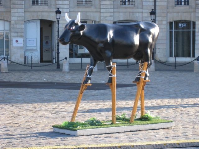 morning picdump 54 pics 9.html - 54 HD Photos | Premium Gallery 2013