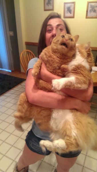 Morning Picdump
