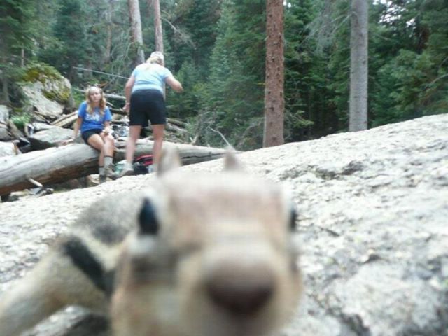 morning picdump 44 pics 1.html - 44 HD Photos | Premium Gallery 2013
