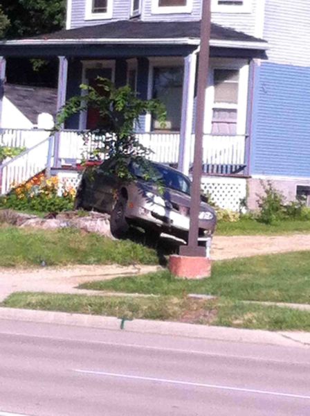 Morning Picdump
