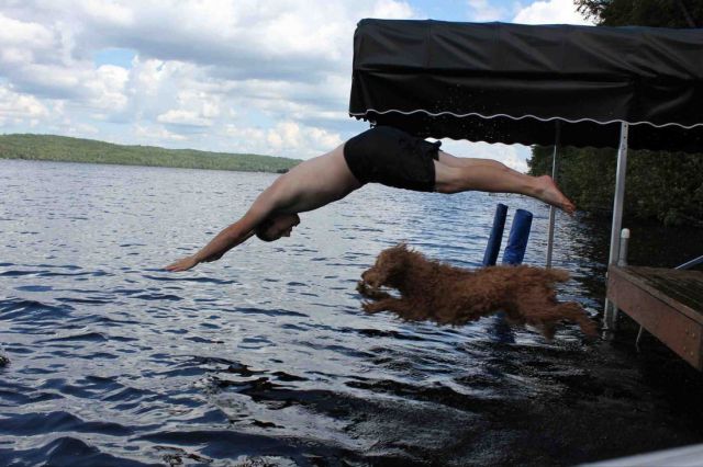 Morning Picdump