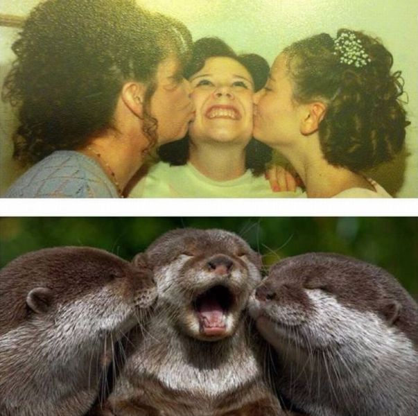 Morning Picdump