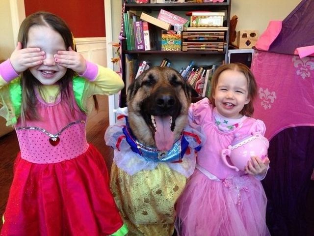 Morning Picdump