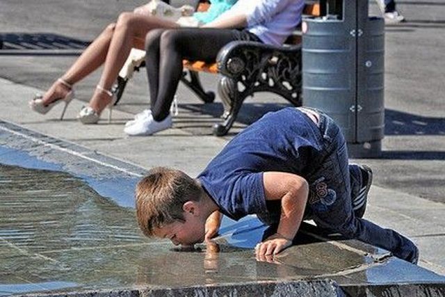 Morning Picdump