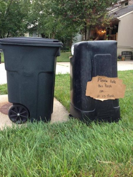 Morning Picdump
