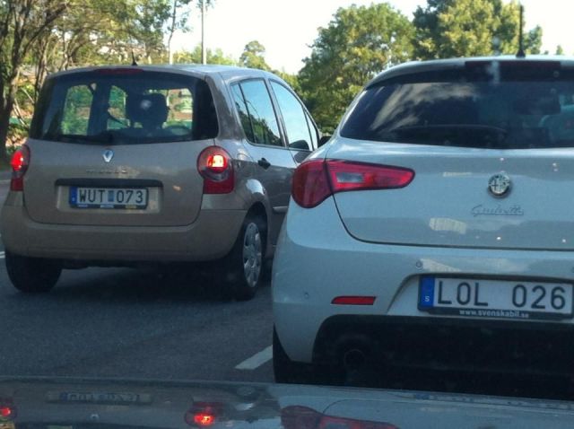 Morning Picdump