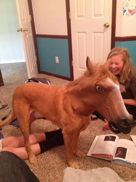 morning picdump 54 pics 1.html - 54 HD Photos | Premium Gallery 2013