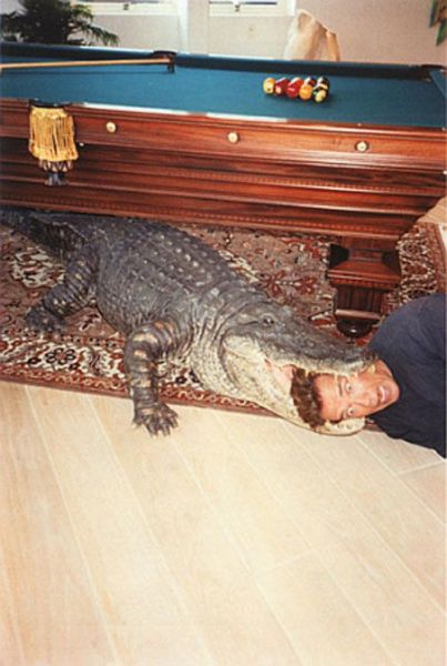 Morning Picdump