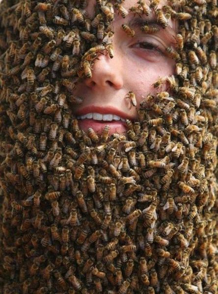 Morning Picdump