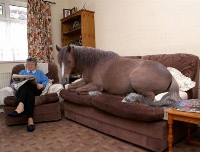 morning picdump 55 pics 10.html - 55 HD Photos | Premium Gallery 2013